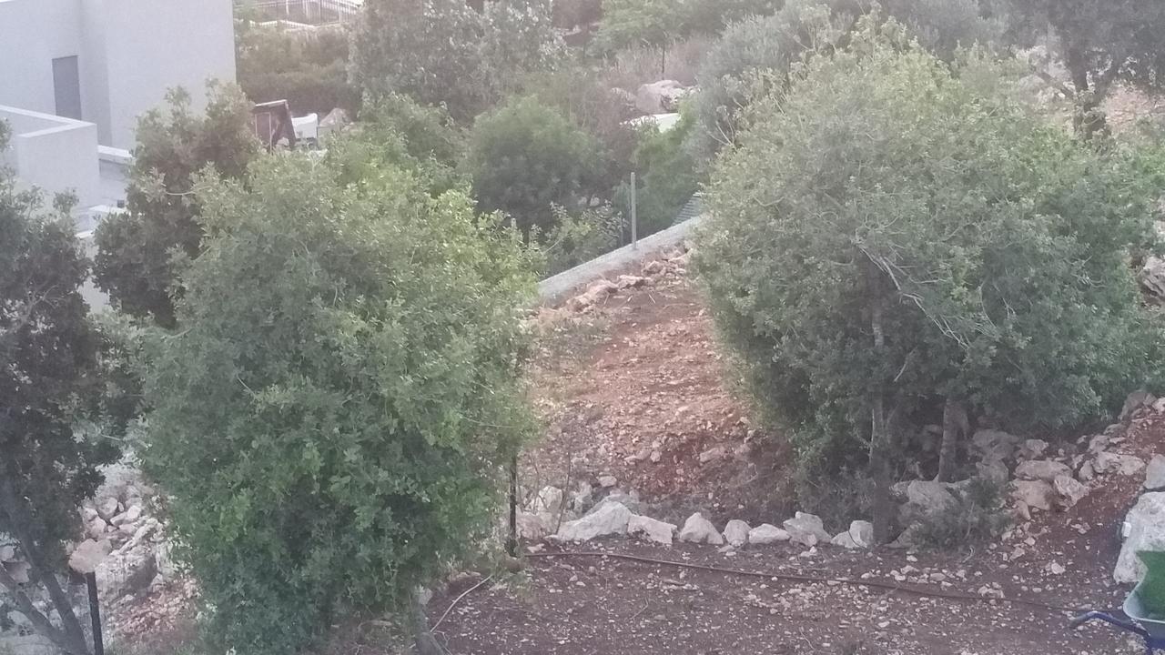 Nof Lavon Βίλα Εξωτερικό φωτογραφία